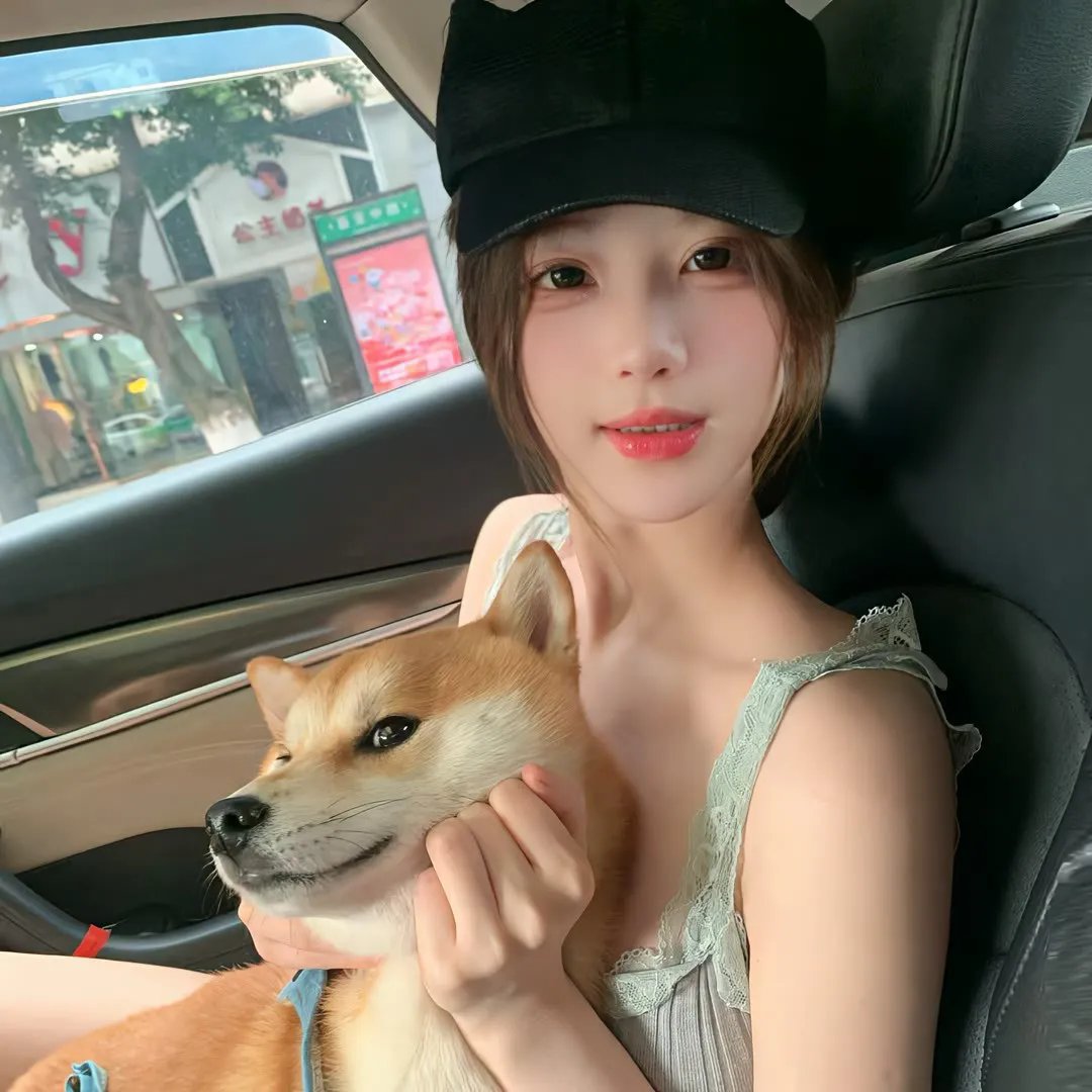 卧底羔羊
