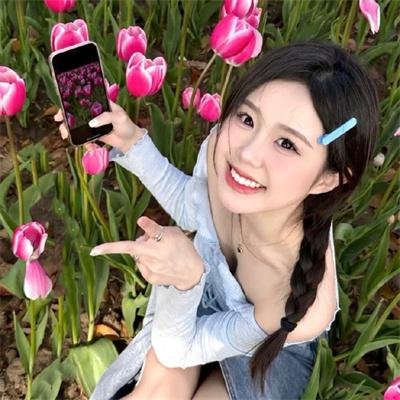 小鸟总动员